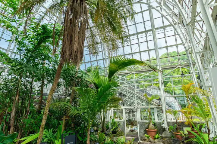 多様な温室植物を鑑賞できる植物園！