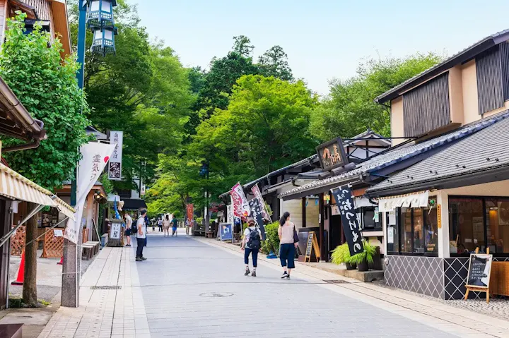 春の高尾山薬王院で体験する華やかな祭り