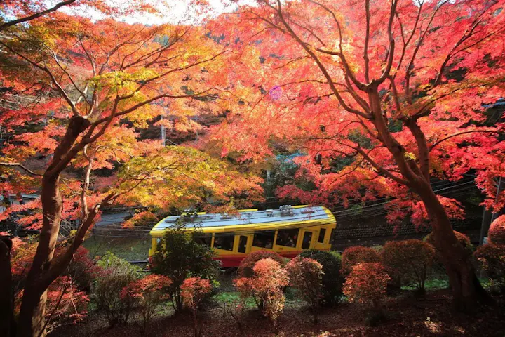 紅葉狩りが魅力的な高尾山