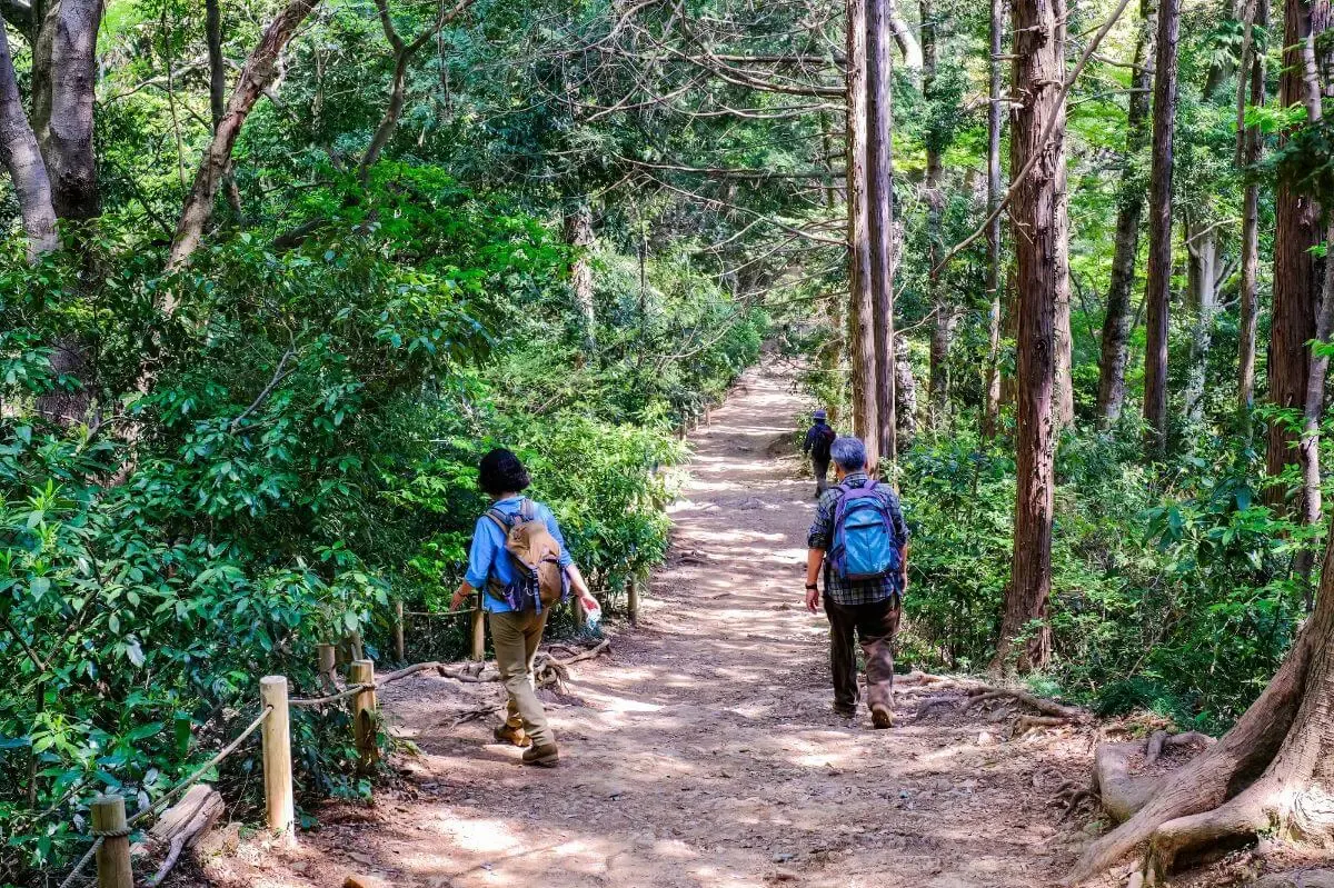 高尾山（写真 2）