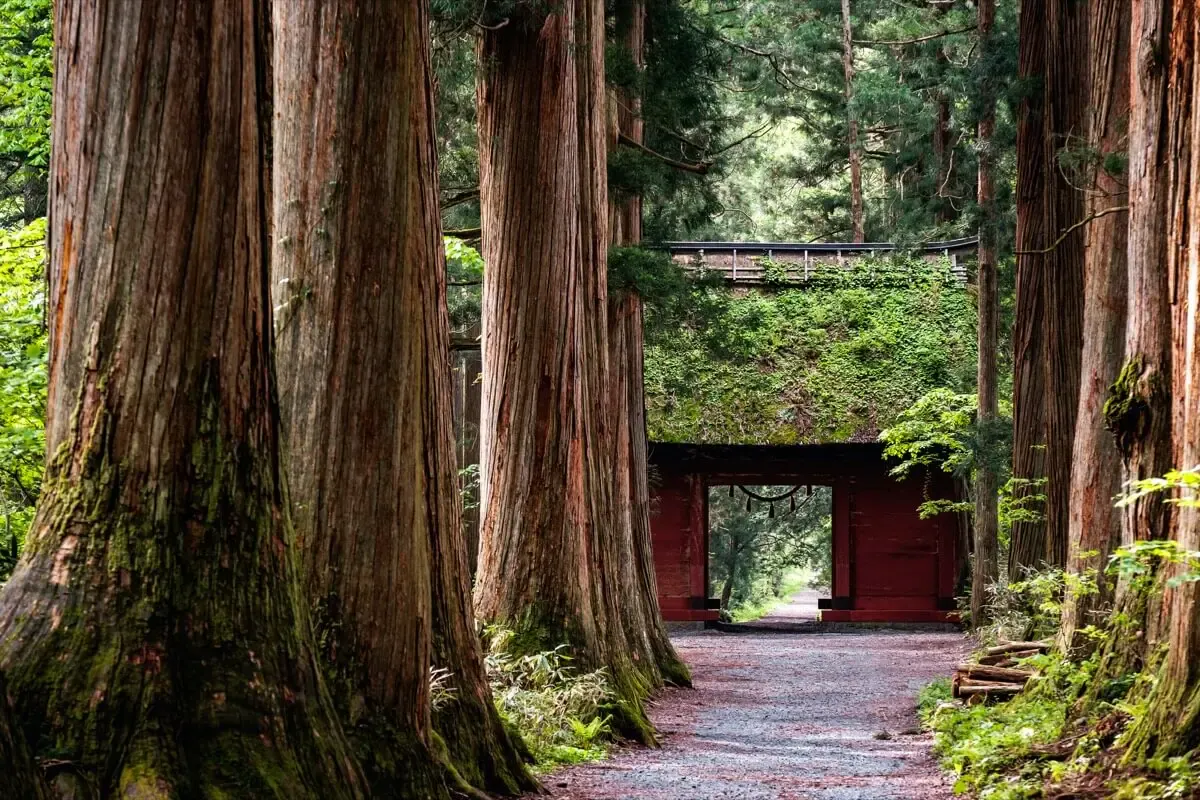 戸隠神社(写真 2)