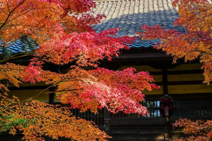 秋の絶景を楽しむ!善光寺の紅葉めぐり