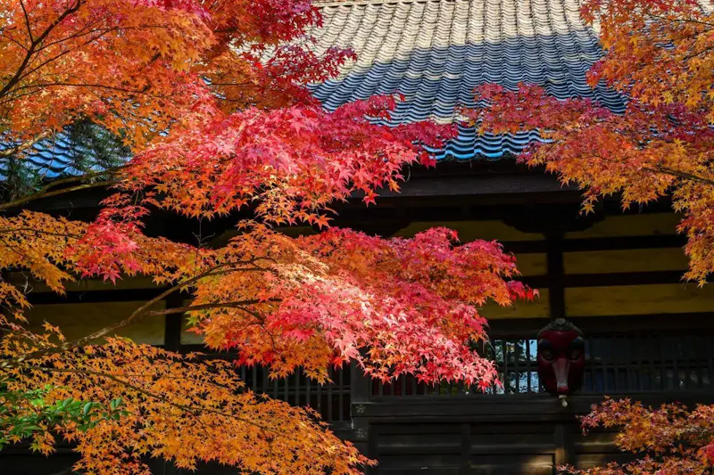 善光寺
