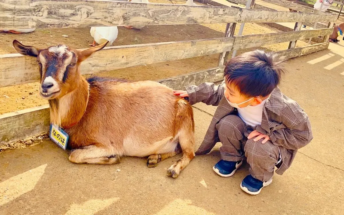 成田ゆめ牧場（写真 3）