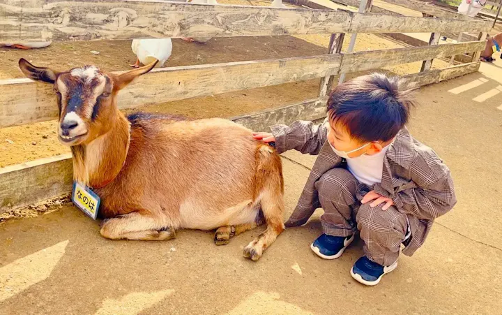 牧場の可愛い動物たちと触れ合える！