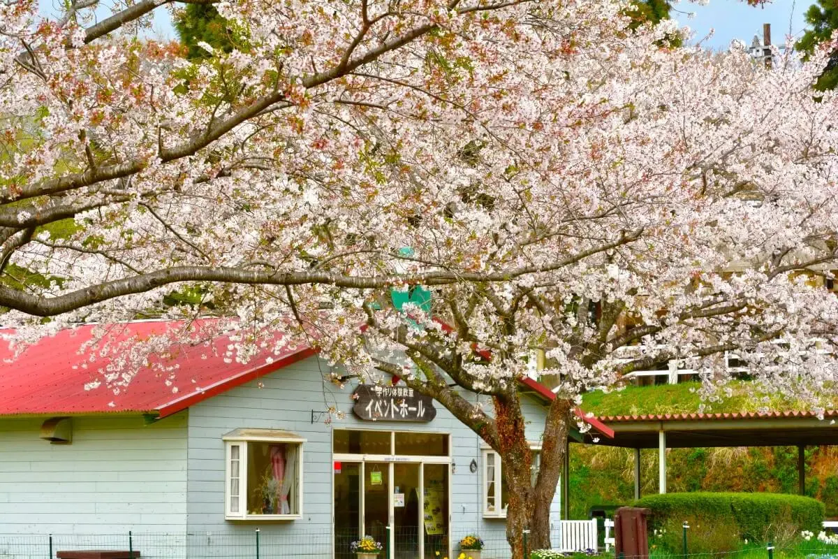成田ゆめ牧場（写真 5）