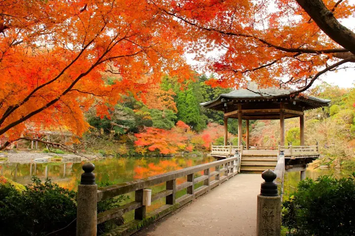 成田山公園の自然でリフレッシュ！