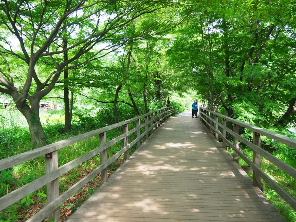 石神井公園(写真 4)