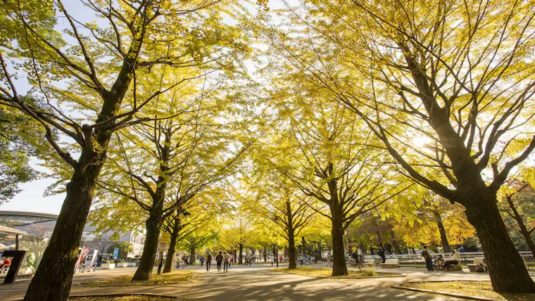 光が丘公園