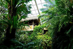 板橋区立熱帯環境植物館