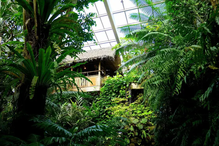板橋区立熱帯環境植物館