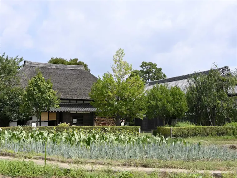 都市農業公園