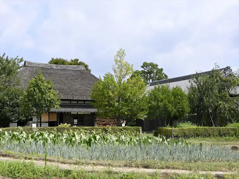 都市農業公園