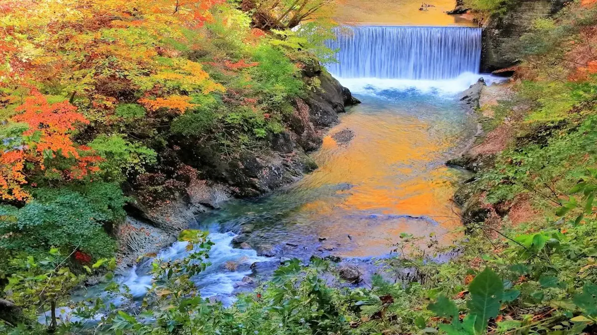鳴子峡(写真 4)