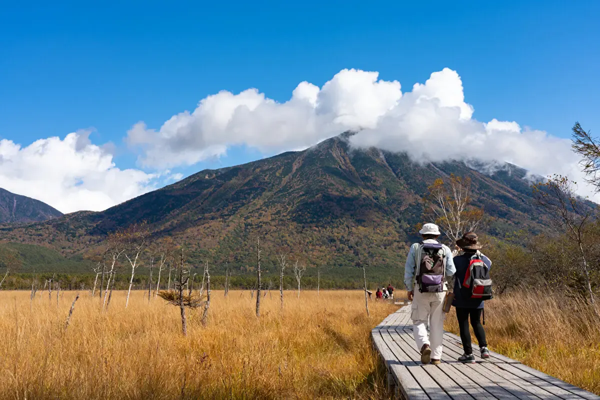 戦場ヶ原(写真 2)