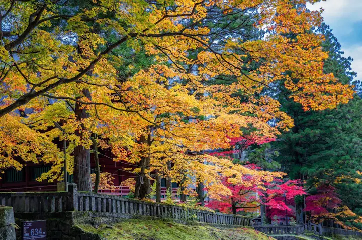 幻想的な四季折々の風景!
