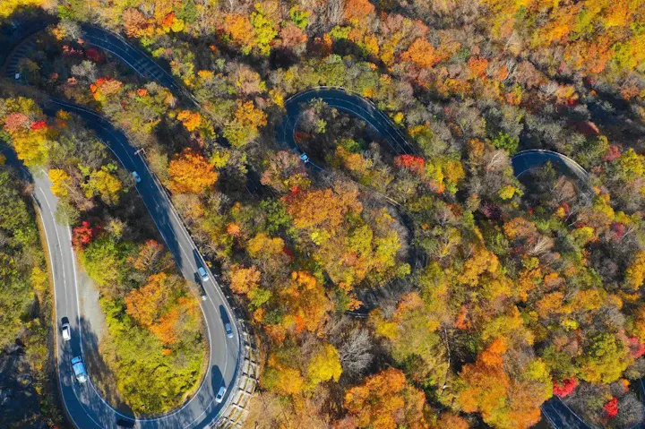華厳の滝へ向かう際に通る坂道！
