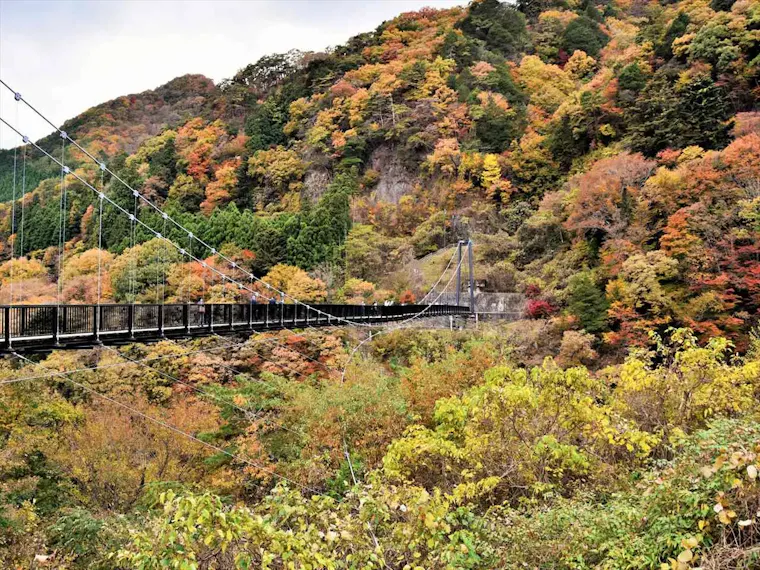 鬼怒楯岩大吊橋