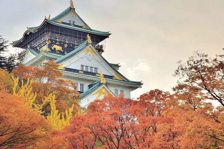 大阪城公園の紅葉