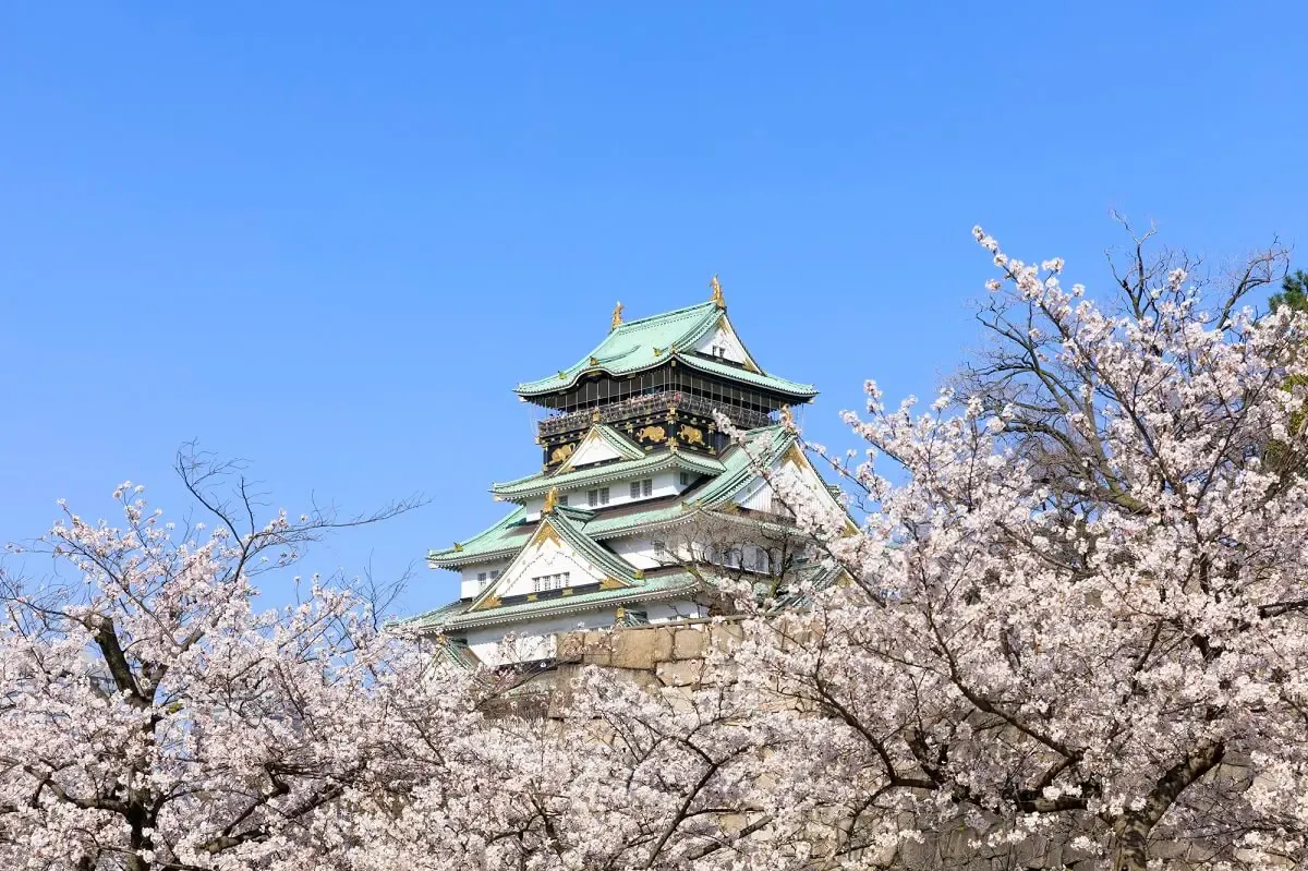 大阪城(写真 5)