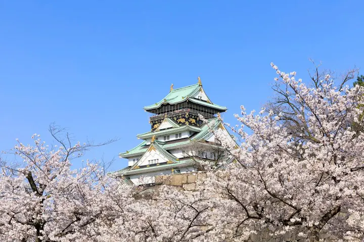 春の大阪城で桜鑑賞