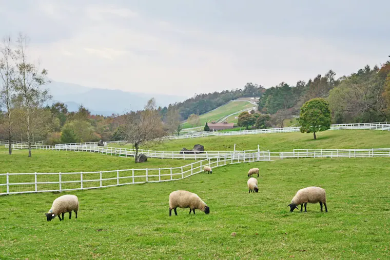山梨県立まきば公園