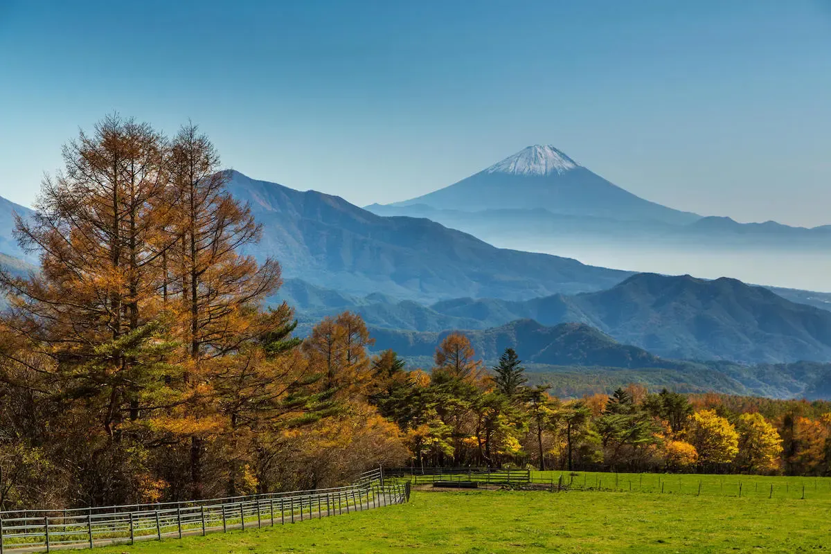 山梨県立まきば公園（写真 2）