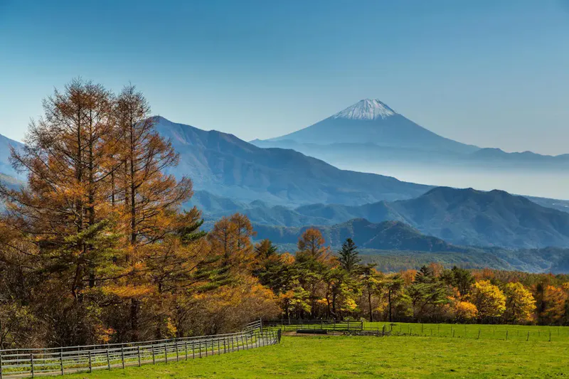 山梨県立まきば公園