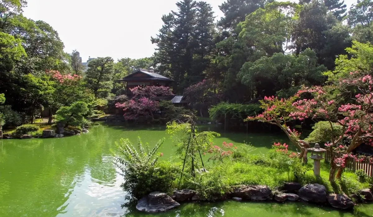 京都御苑(写真 5)