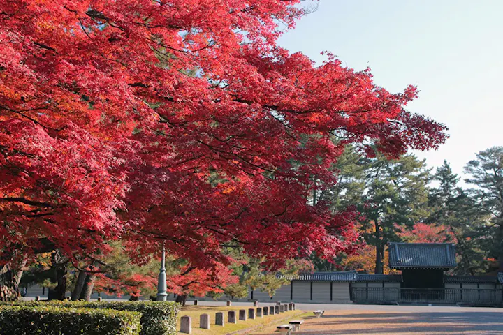 歴史的名所とともに楽しむ紅葉