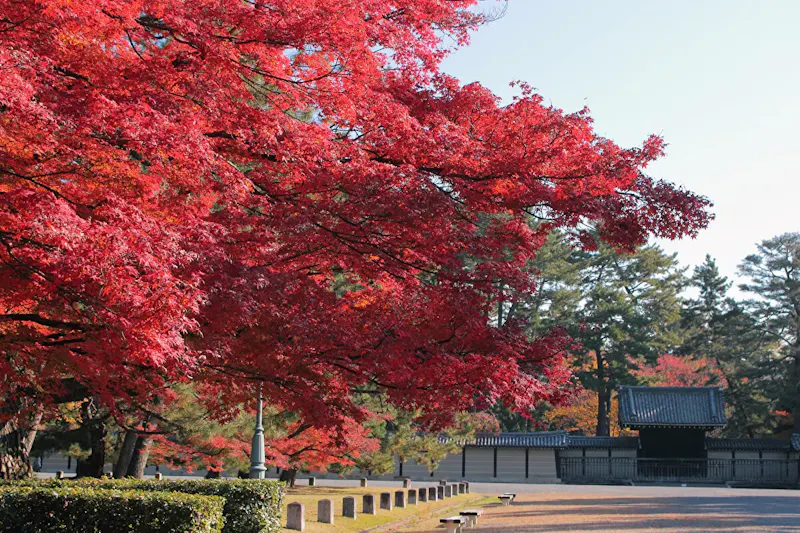 京都御苑