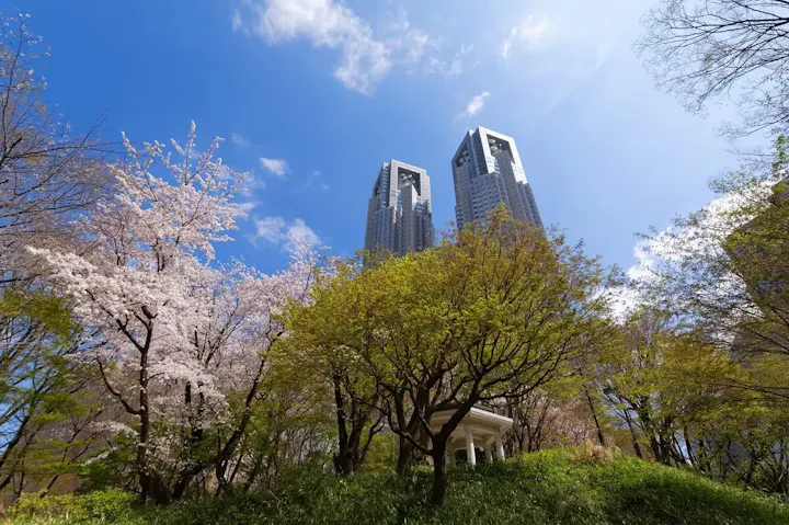 緑豊かな公園でリフレッシュ！東京都庁周辺の公園