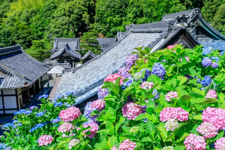 四季折々の景色を楽しむ