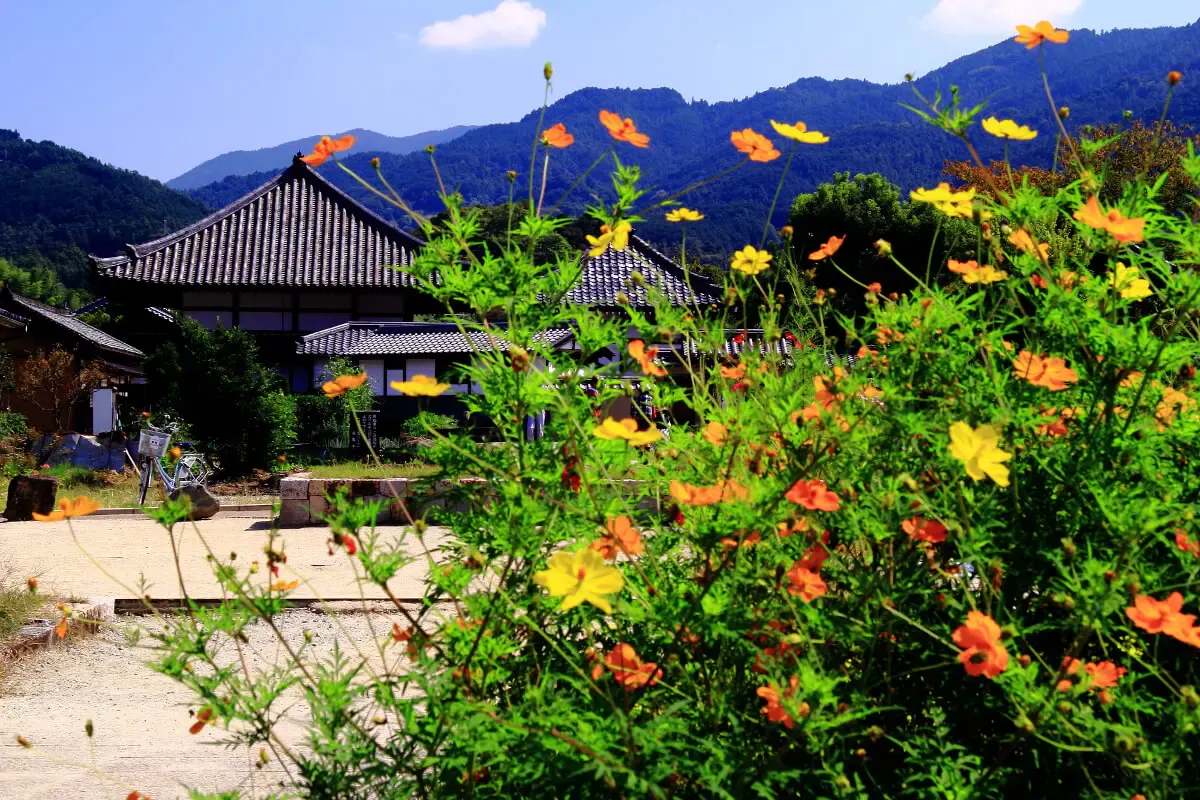 安居院(飛鳥寺)(写真 6)