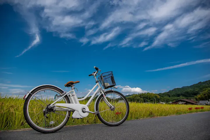 周遊バスまたはレンタル自転車がおすすめ