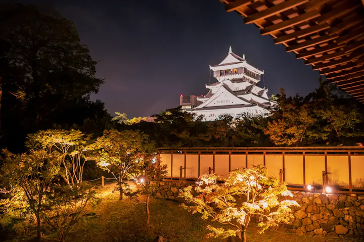 幻想的な景色や夜景を楽しむ