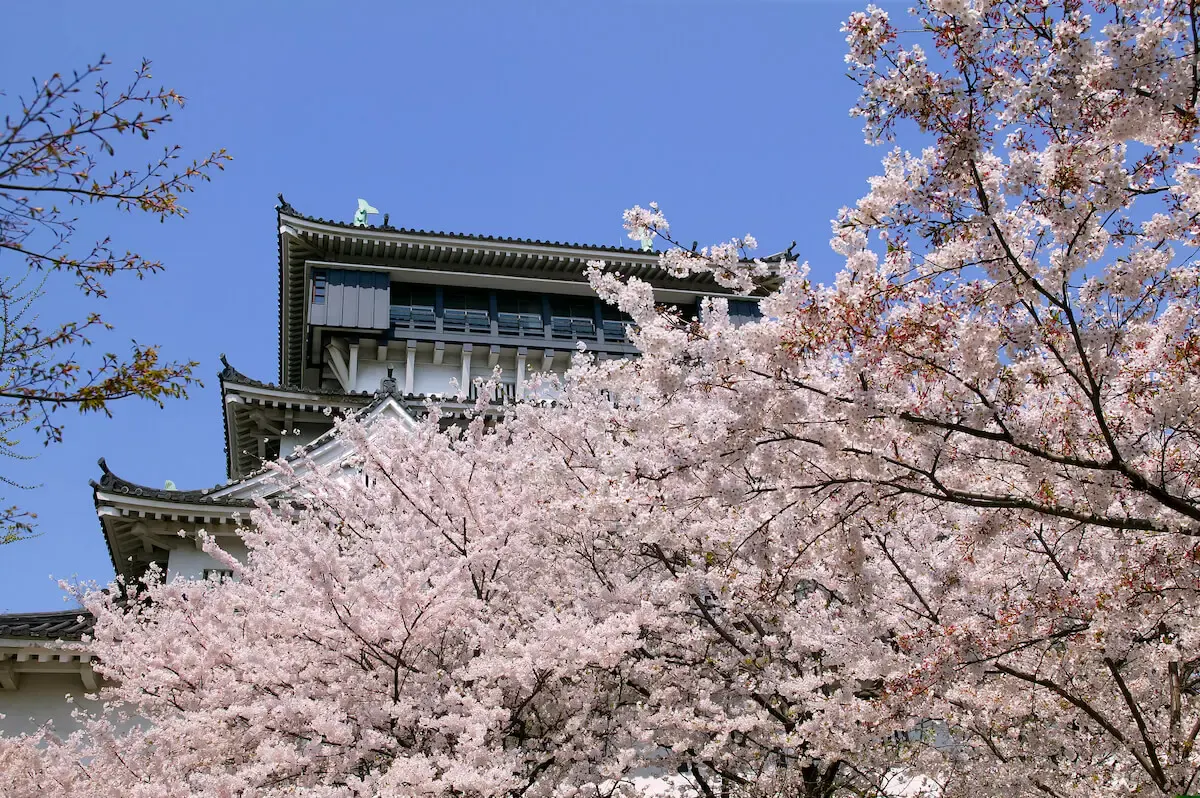 小倉城(写真 5)