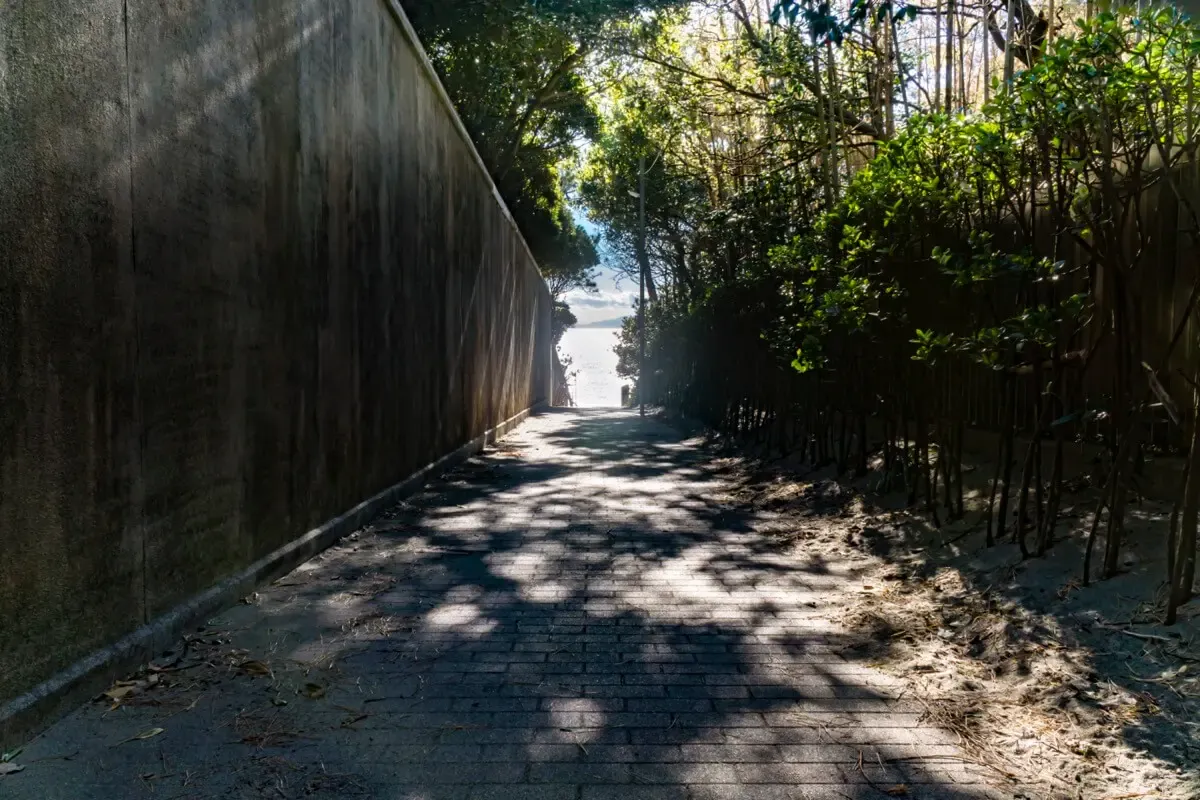 一色海岸(写真 2)