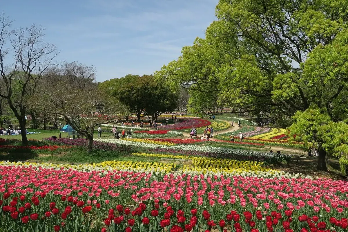 万博記念公園（写真 2）
