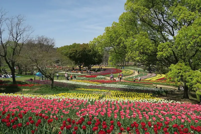 万博記念公園
