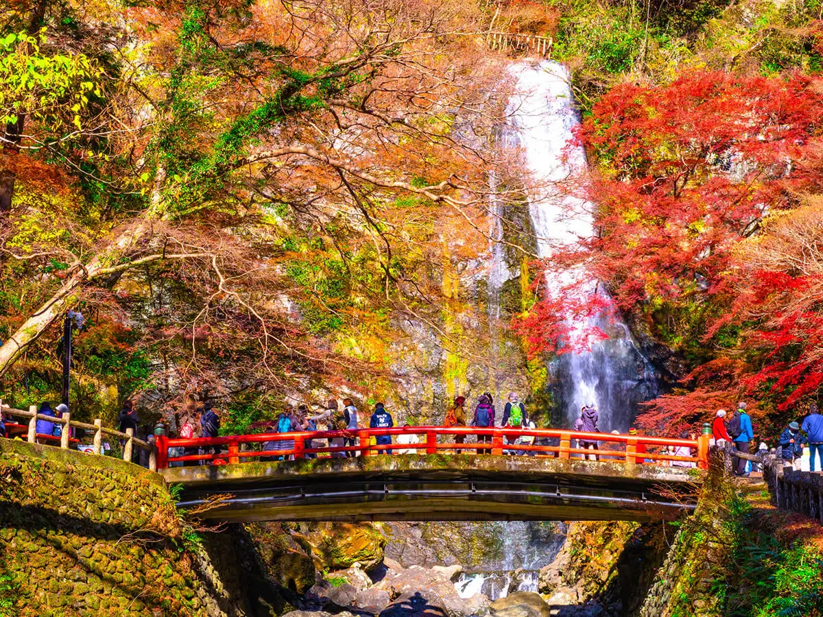箕面大滝（写真 3）