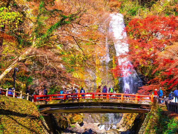紅葉の名所！箕面大滝周辺