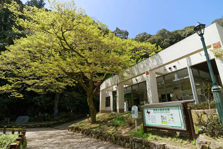 親子で楽しい！箕面公園昆虫館