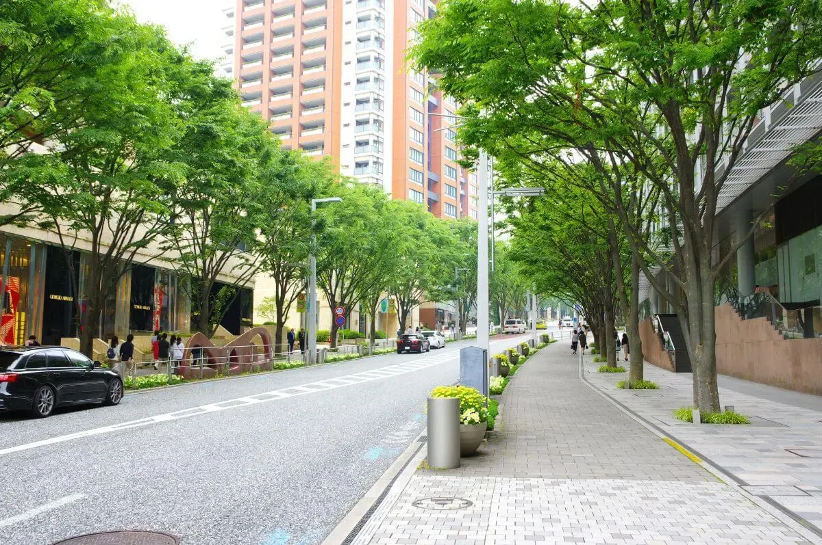 六本木けやき坂通り