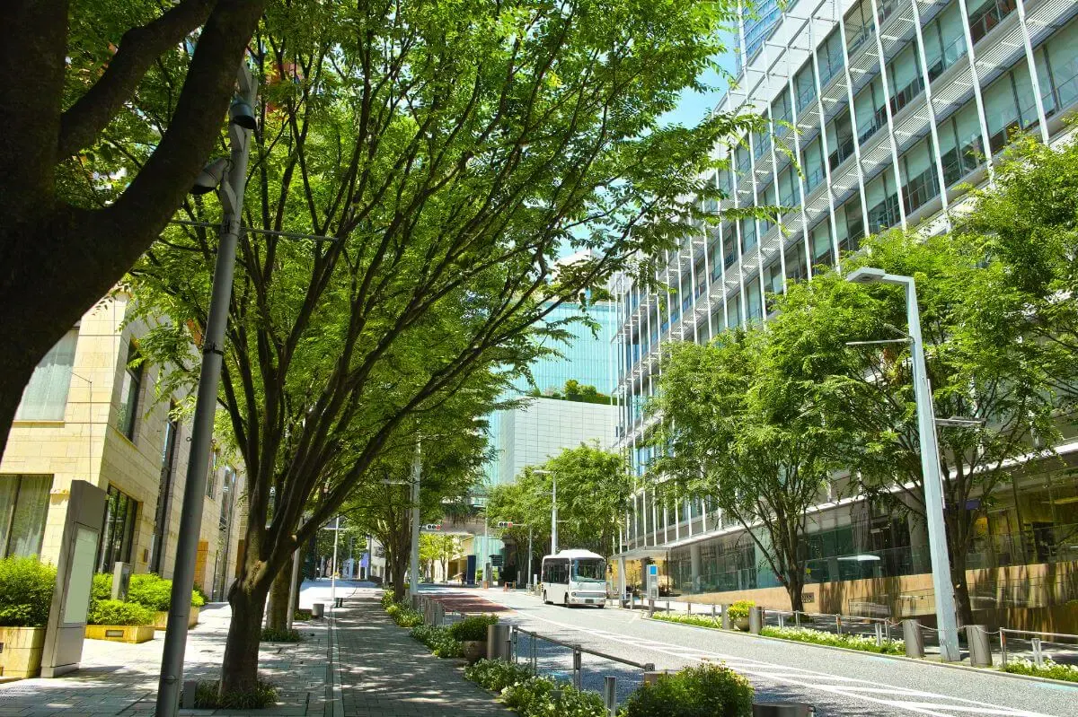 六本木けやき坂通り（写真 2）