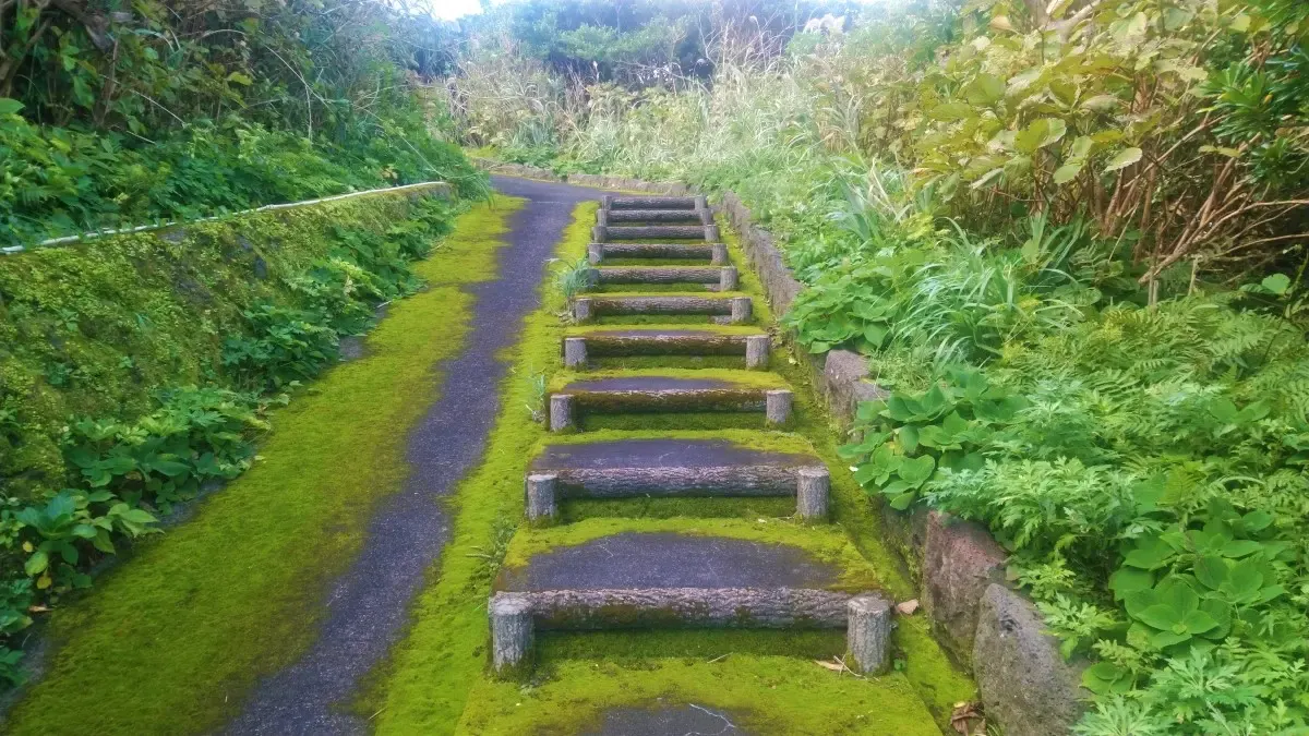 青ヶ島(写真 2)