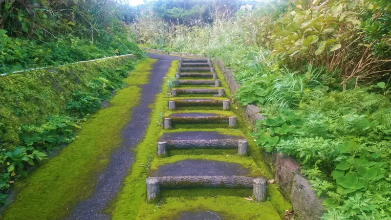 青ヶ島