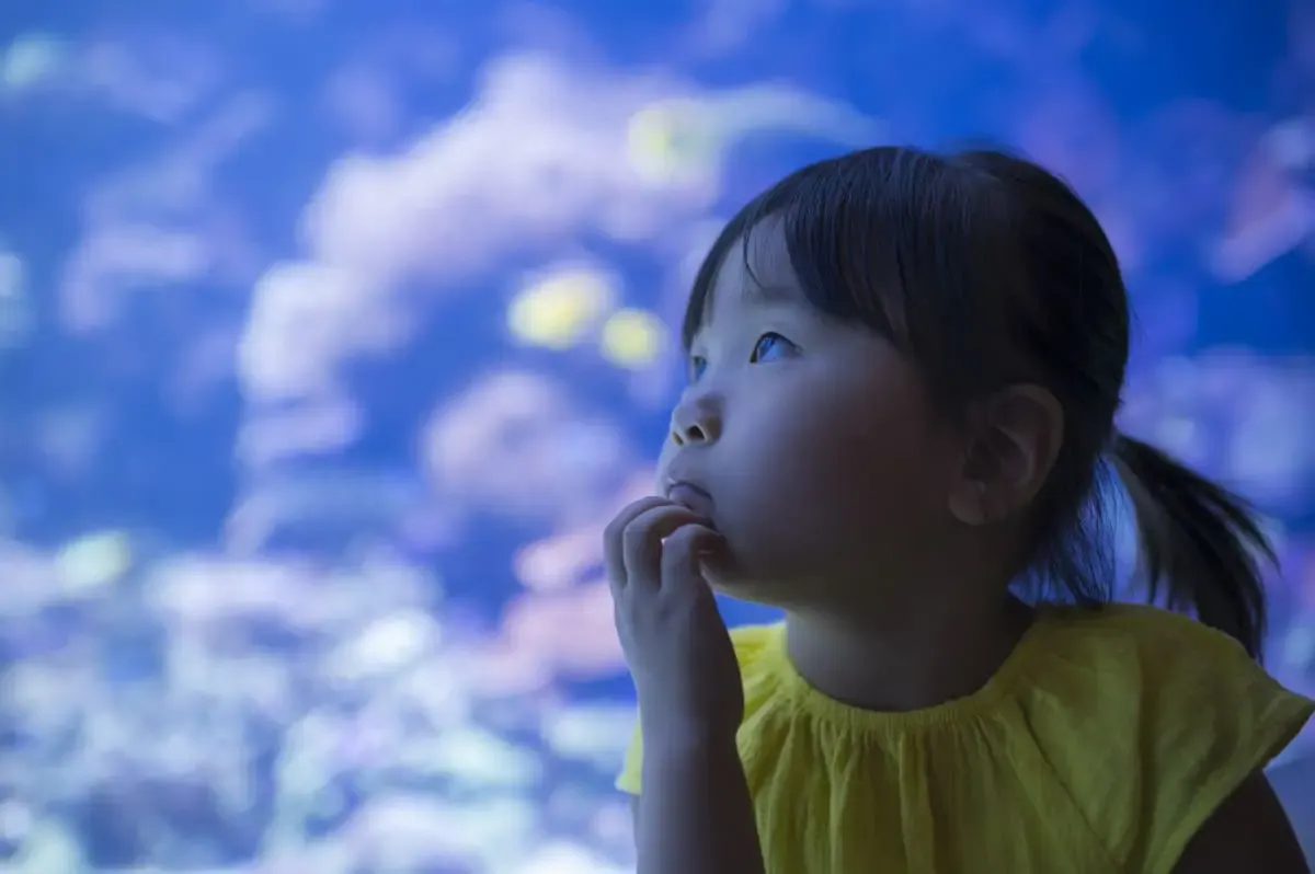 小笠原水産センター(写真 4)