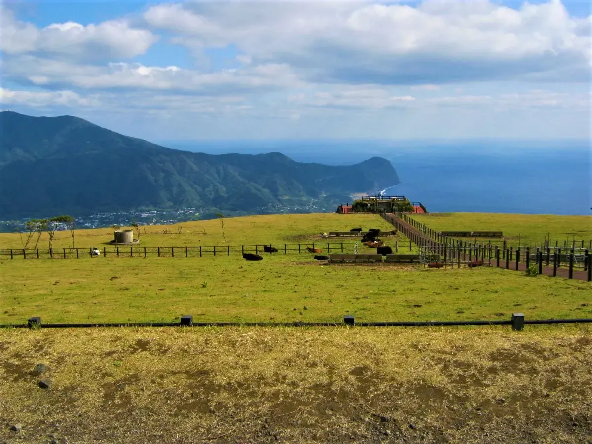 八丈島(写真 2)