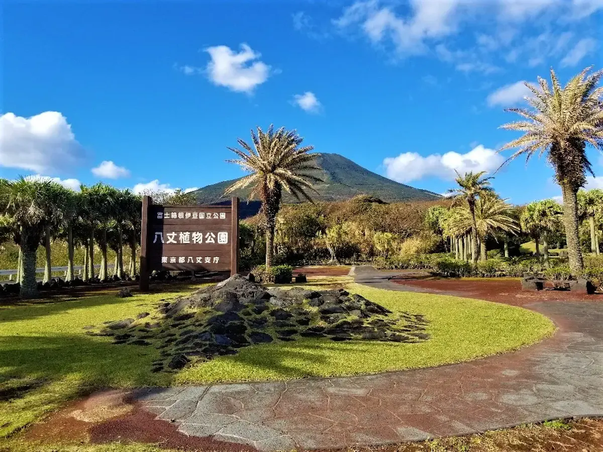 八丈島(写真 3)